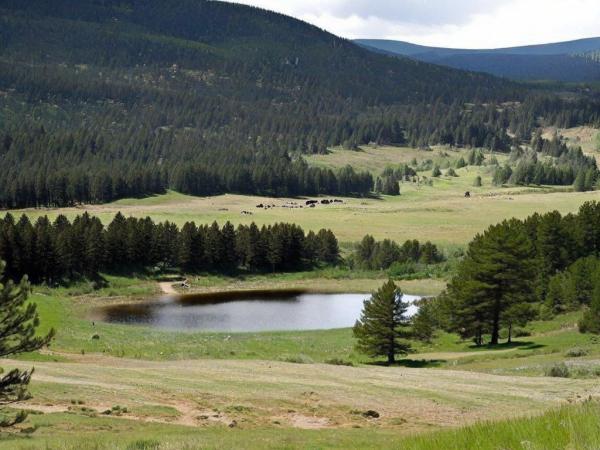 Kiziljahamam Sohuksu National Park foto