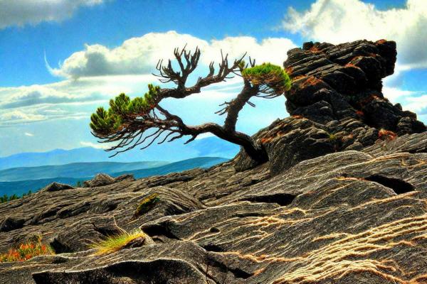 Etna Natuurpark foto