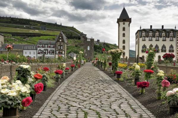 Rüdesheim foto