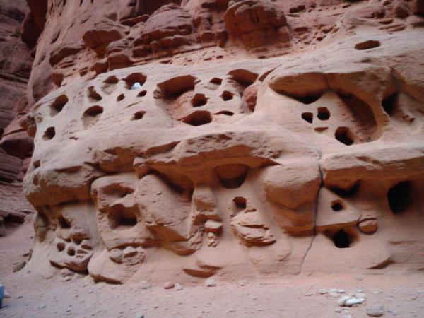 rode canyon foto