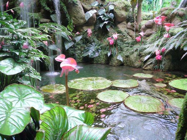 Botanische Tuin Foto