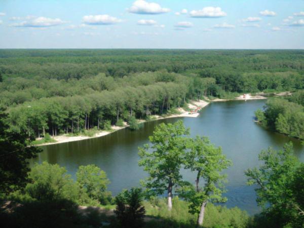 Gomolshansky Forest Preserve foto