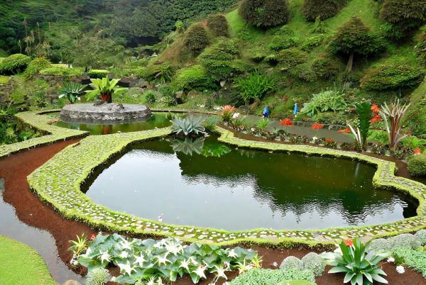 Botanische Tuin Foto