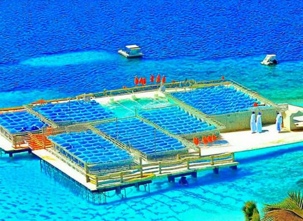 Marine Park "Marinarium" foto